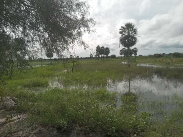 Ranch for Sale in Alto Paraguay — 1,600 Hectares