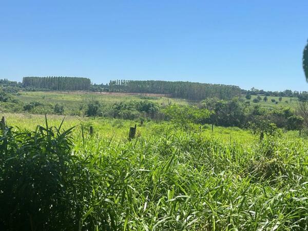 Estancia en venta en Caaguazú – 12,95 hectáreas