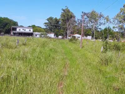Fazenda à venda em Gral. Elizardo Aquino, San Pedro — 133 hectares
