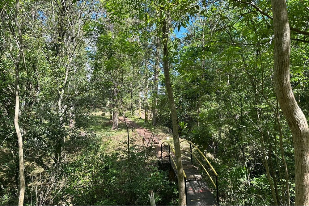 Estancia en venta en Tavapy, Alto Paraná - 20 hectáreas productivas