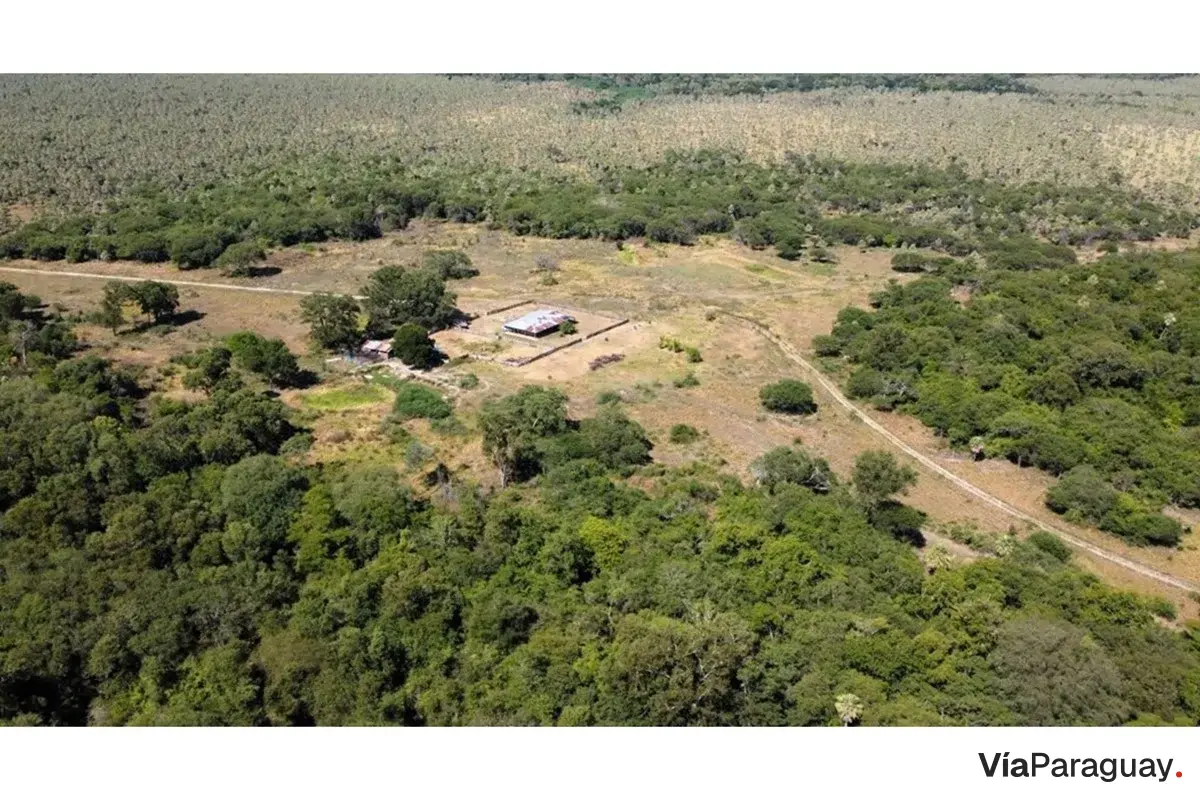Estancia ganadera en venta en Benjamín Aceval, Presidente Hayes