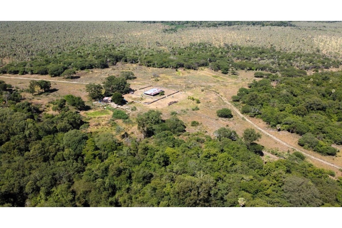 Estancia ganadera en venta en Benjamín Aceval, Presidente Hayes