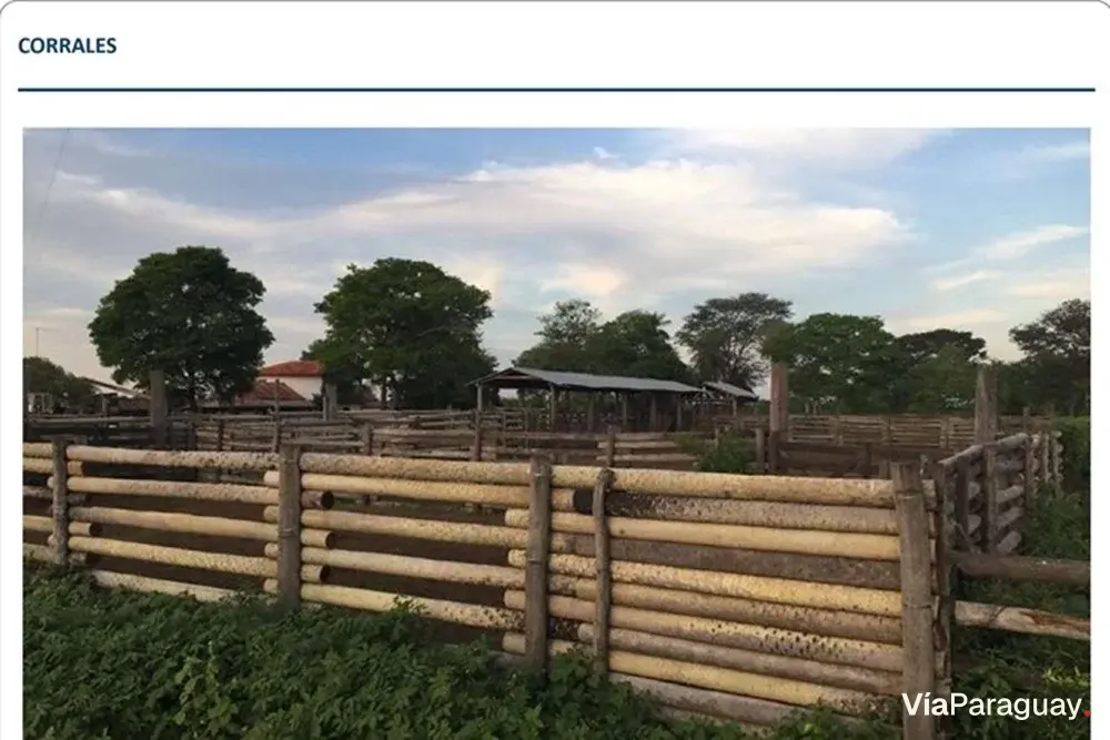 San Valentín Ranch for sale | Presidente Hayes