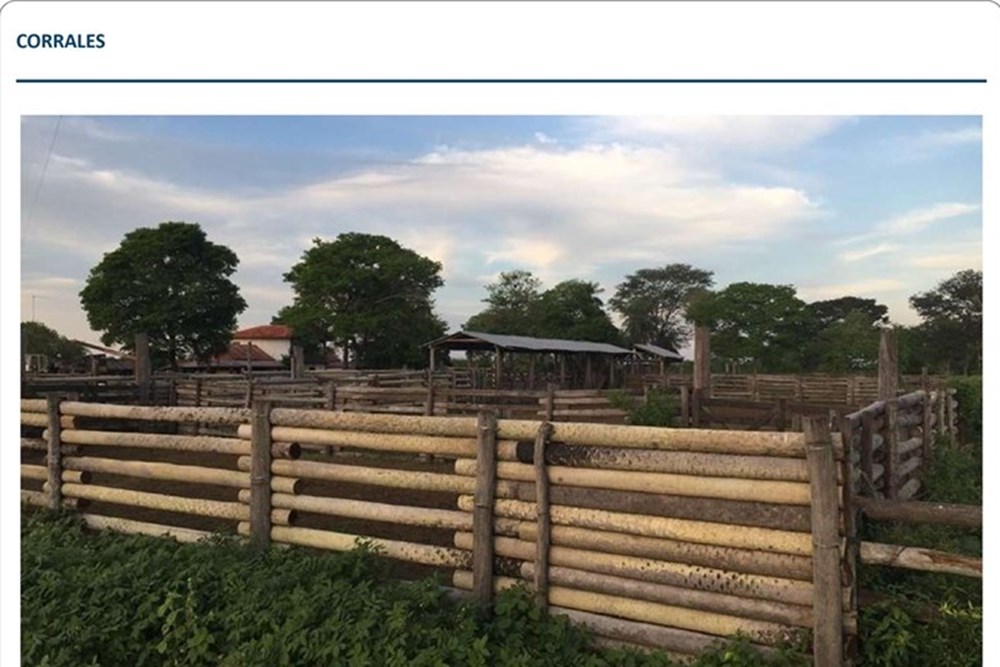 Fazenda San Valentín à venda | Presidente Hayes