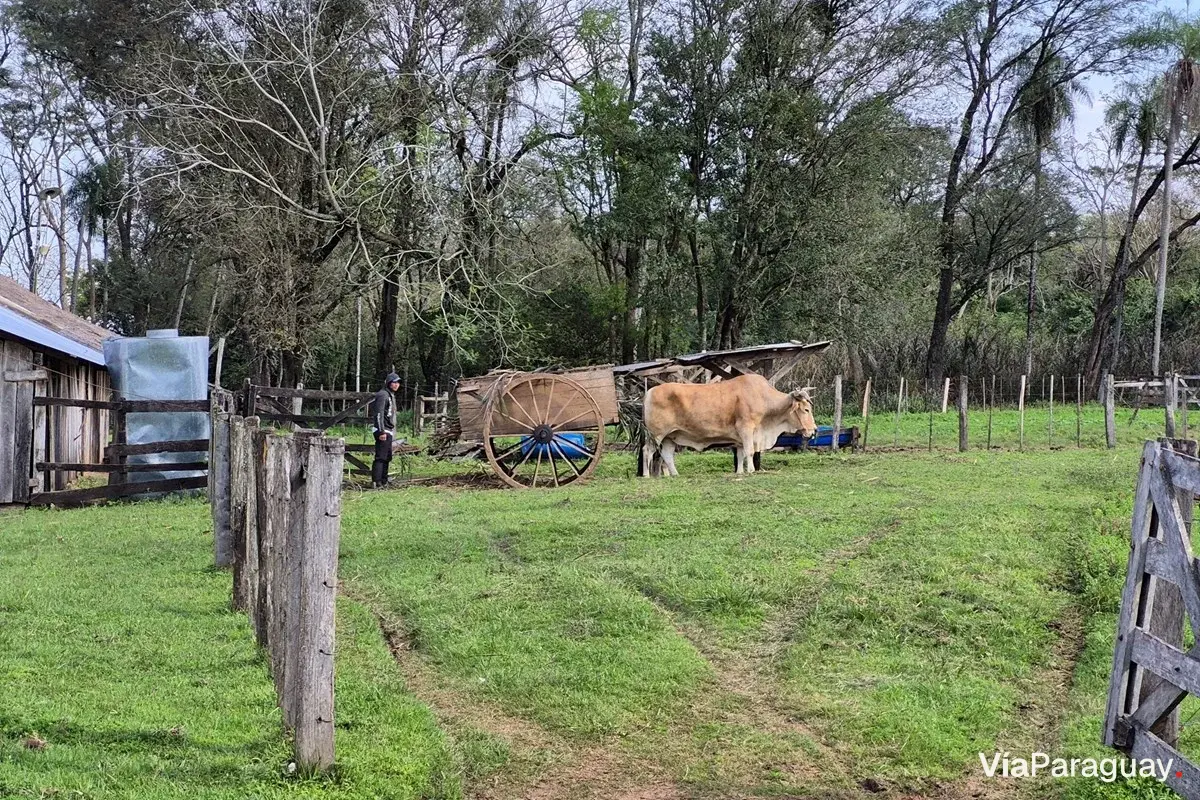 Finca agropecuaria de 60 ha en venta en Caazapá