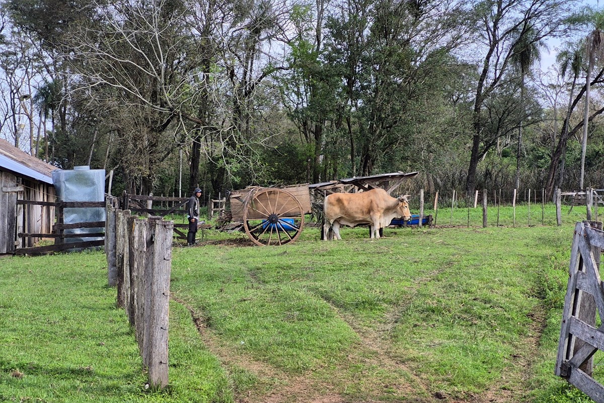 Finca agropecuaria de 60 ha en venta en Caazapá