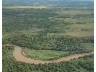 Fazenda pecuária e agrícola à venda em Belén, Concepción