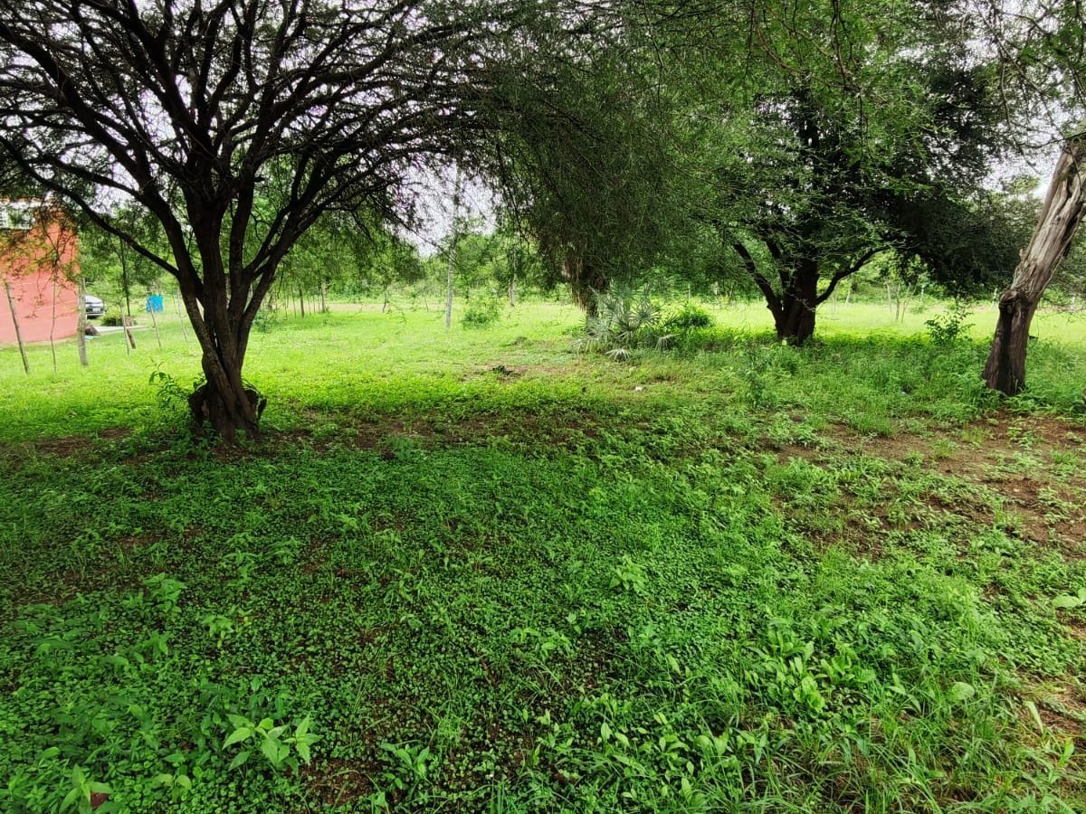 Fracción de 3 lotes en venta en Chaco'i, Nueva Asunción - 1.080 m²
