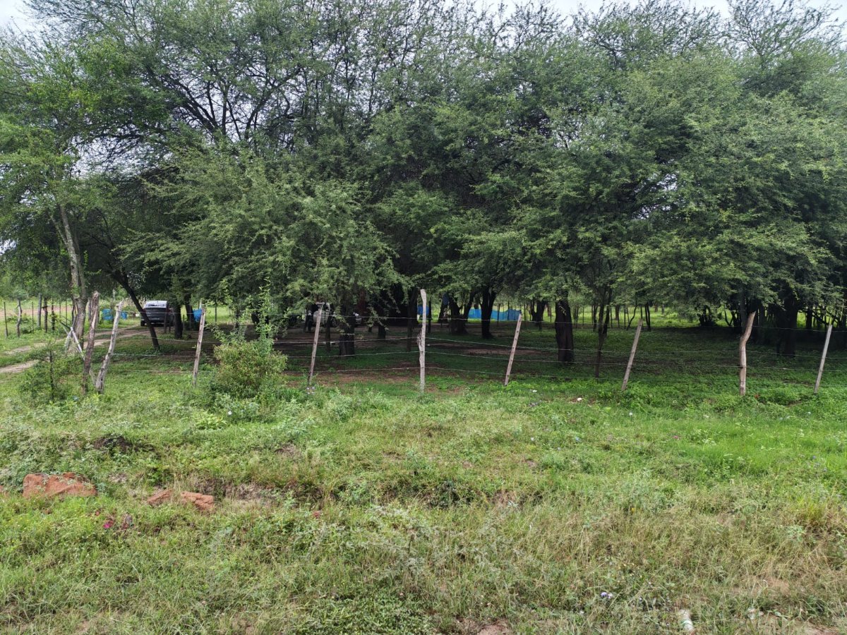Fracción de 4 lotes en venta en Chaco'i, Nueva Asunción - 1.440 m²
