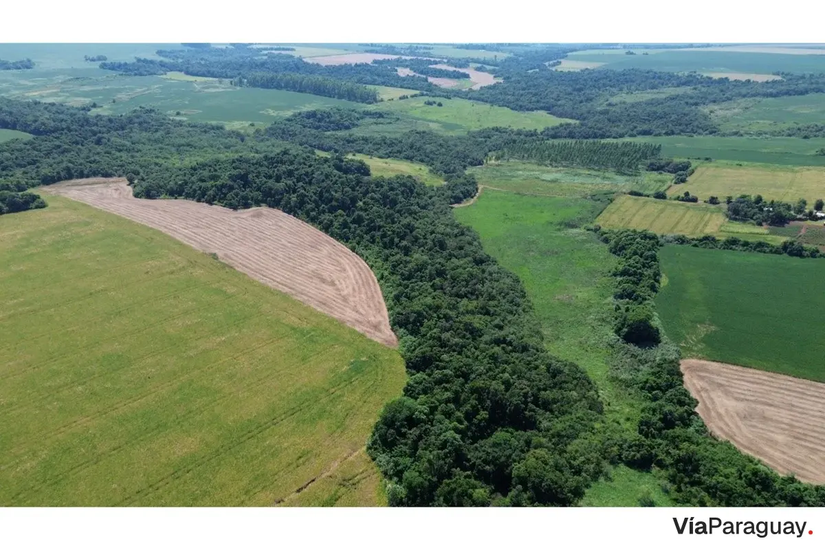 Granja agrícola en venta en Capitán Miranda, Itapúa