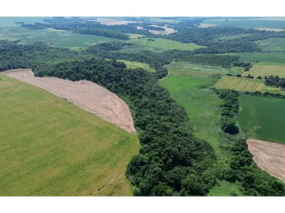 Granja agrícola en venta en Capitán Miranda, Itapúa