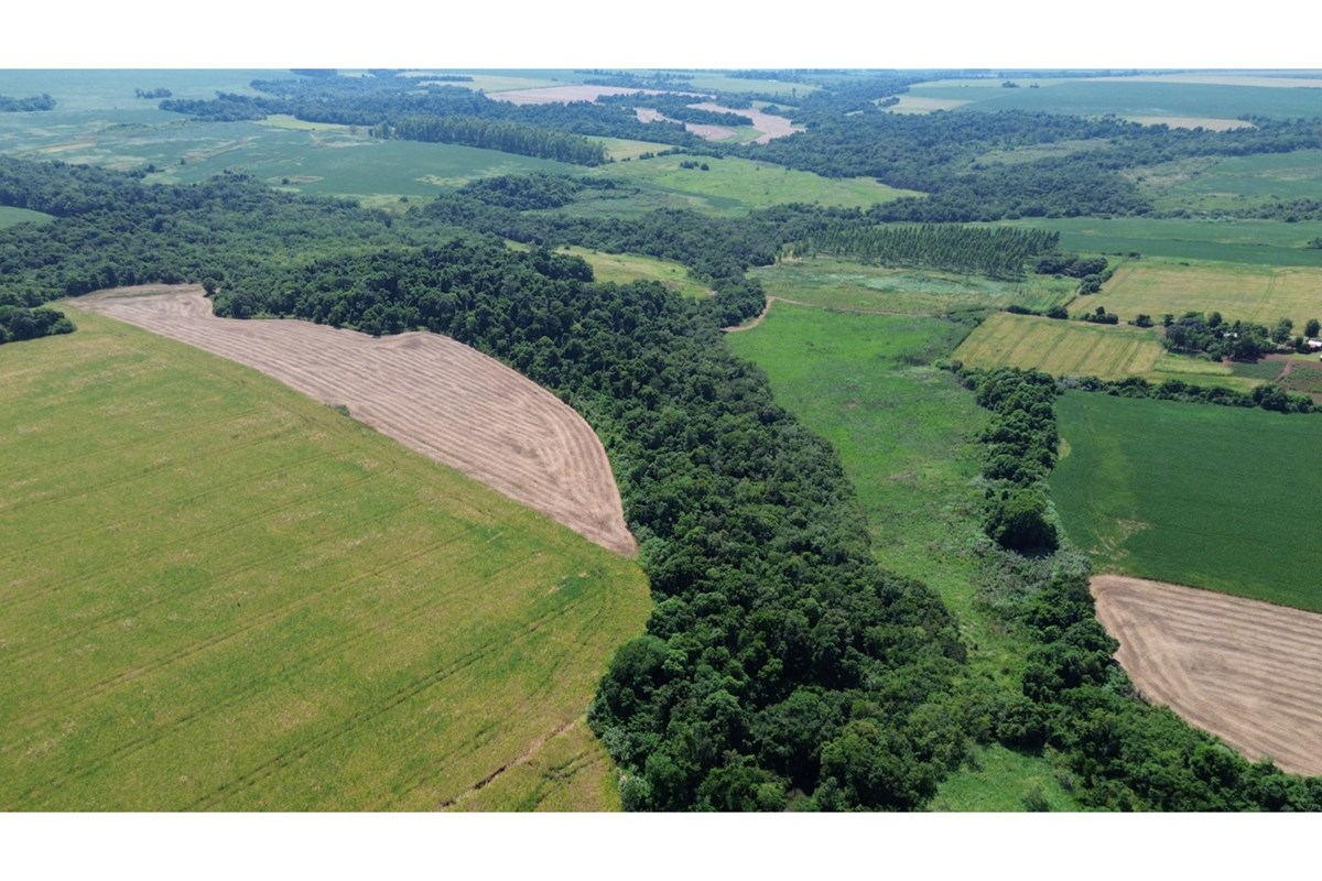 Granja agrícola en venta en Capitán Miranda, Itapúa