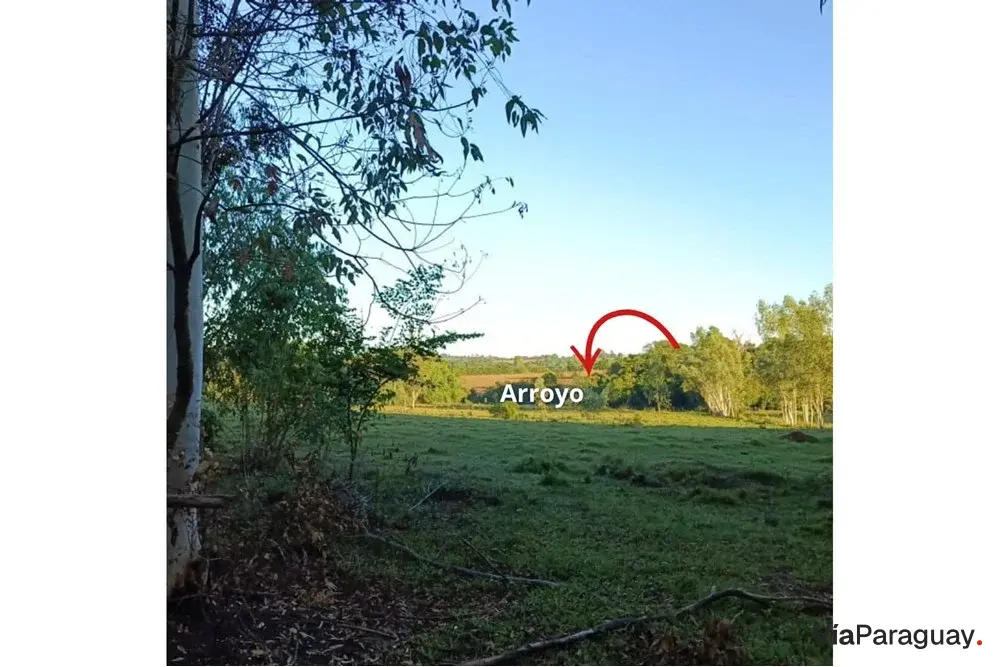 Fazenda agrícola à venda em Cerrito, Encarnación, Itapúa