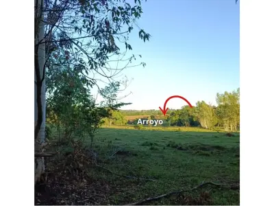 Fazenda agrícola à venda em Cerrito, Encarnación, Itapúa
