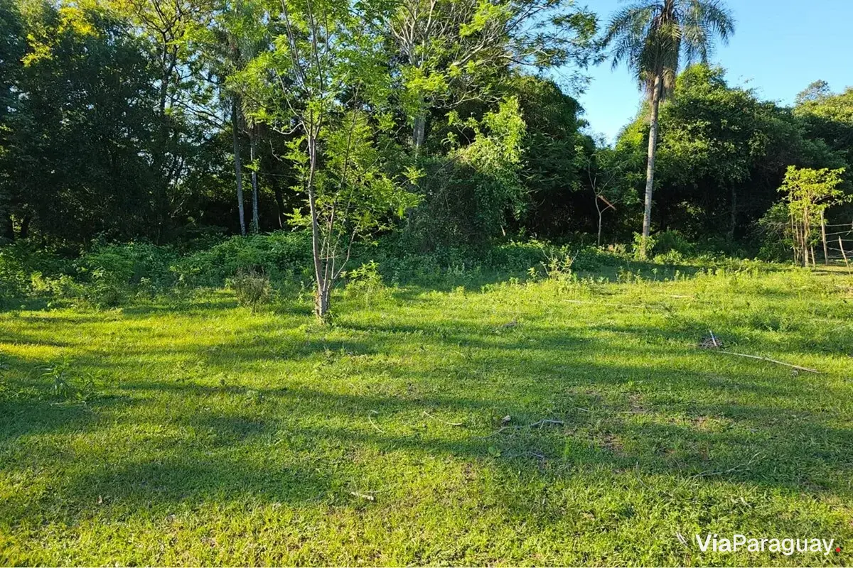 Fazenda agrícola à venda em Villeta, Central