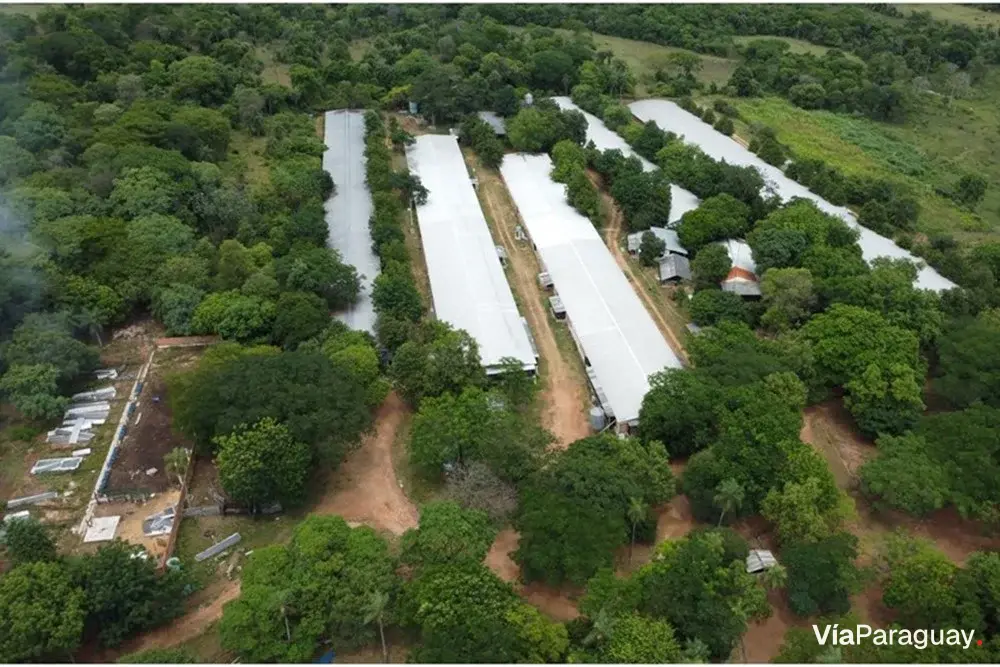 Granja avícola en venta en Altos, Cordillera