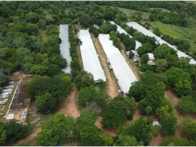 Granja avícola en venta en Altos, Cordillera