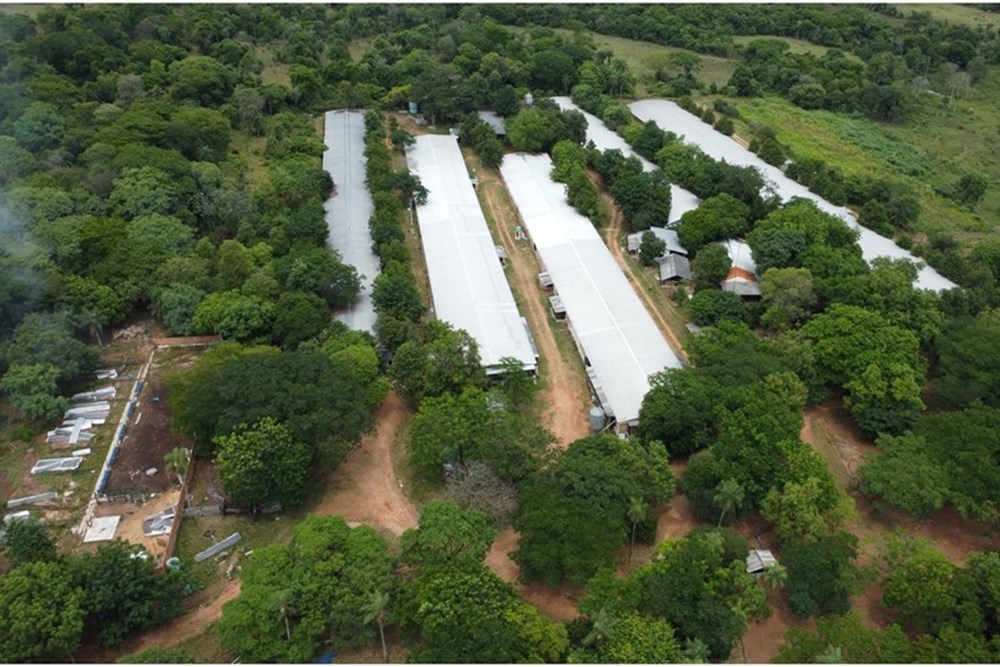 Granja avícola en venta en Altos, Cordillera
