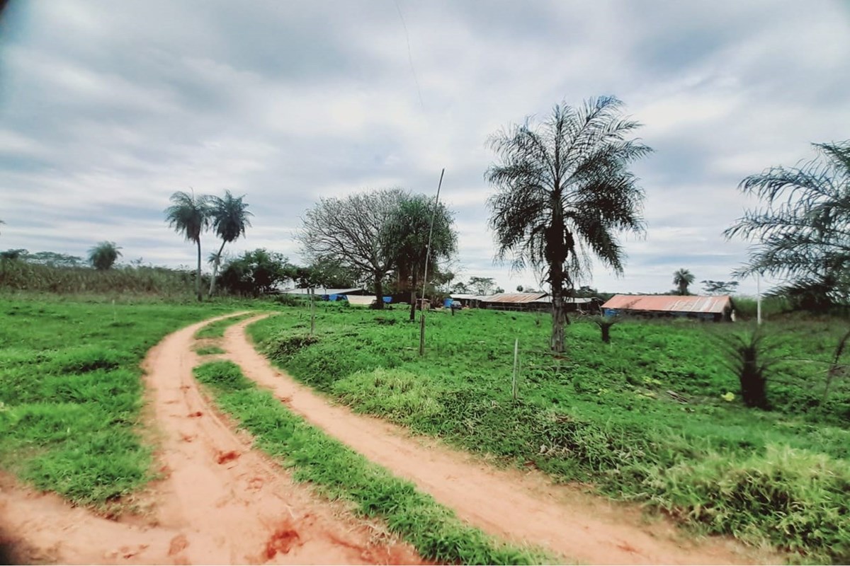 Granja avícola en venta en Pirayú, Paraguarí - 40.000 m²