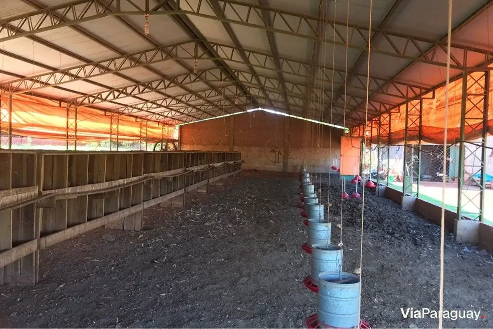 Granja avícola equipada en alquiler en Hernandarias