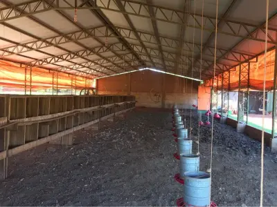 Granja avícola equipada en alquiler en Hernandarias