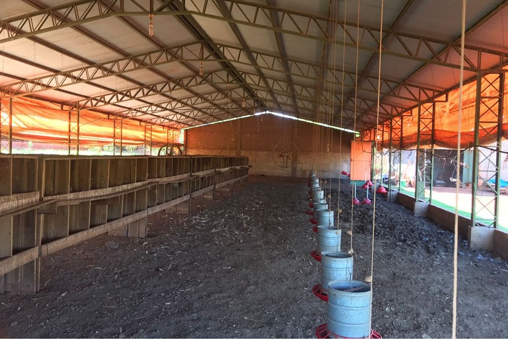 Granja avícola equipada en alquiler en Hernandarias