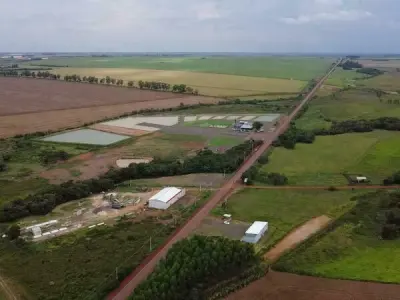 Espaço comercial para alugar em Hernandarias, Alto Paraná