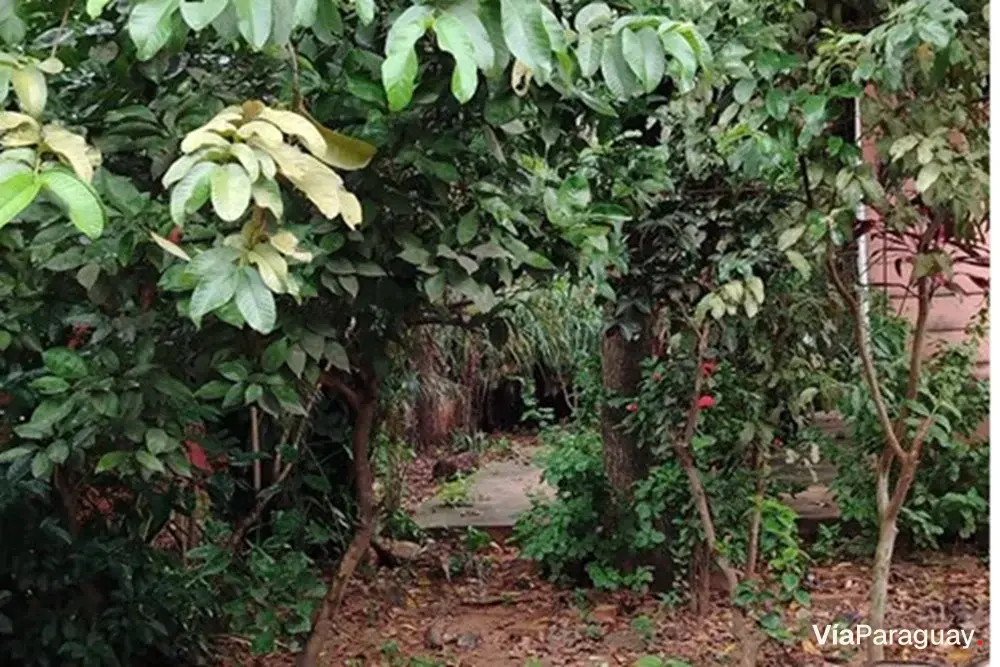 Local comercial en venta en Inmaculada, San Lorenzo