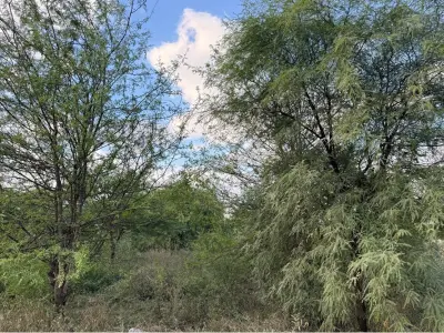 Lote comercial en venta en Filadelfia, Boquerón