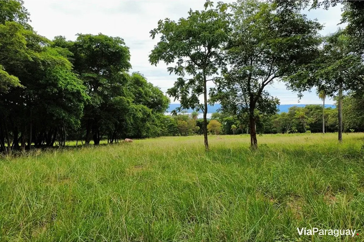 Lote à venda em condomínio fechado em Patiño, Ypacaraí