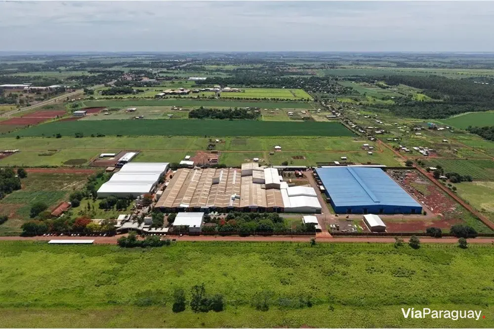 Galpão industrial para alugar em Minga Guazú, Alto Paraná