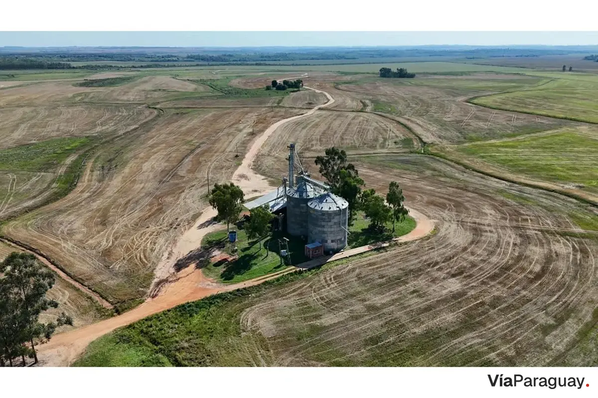 Propriedade agrícola de 642 hectares à venda em Caazapá