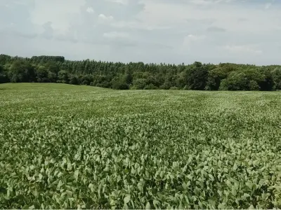 Propriedade agrícola de 76 hectares à venda em Fram, Itapúa