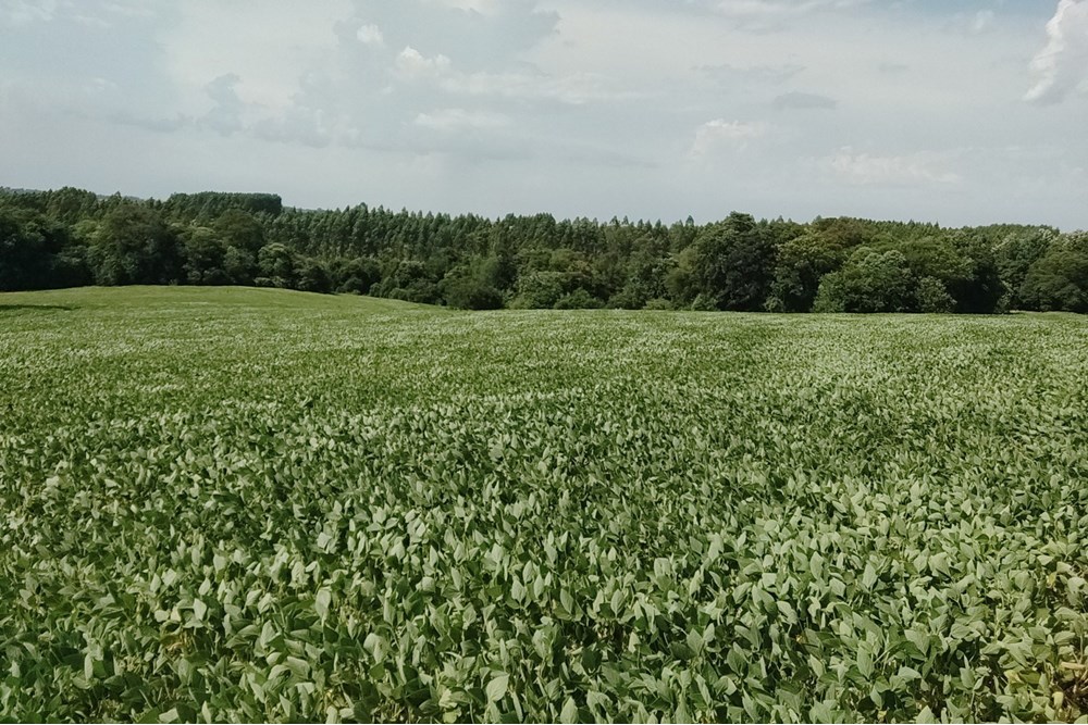 76-hectare agricultural property for sale in Fram, Itapúa
