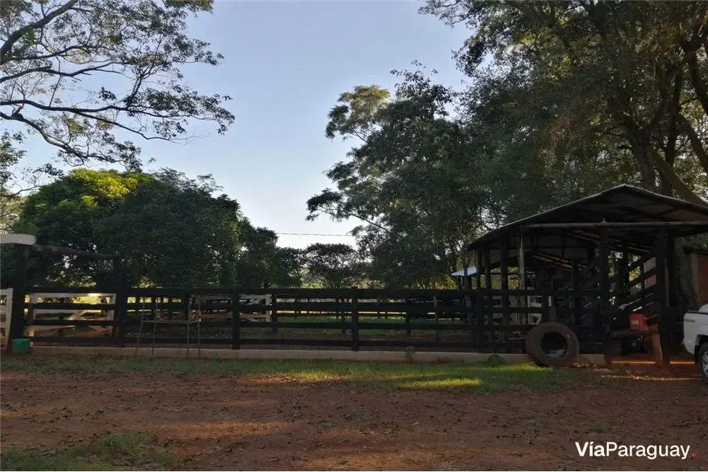 Agricultural and livestock property for sale in Fram, Itapúa