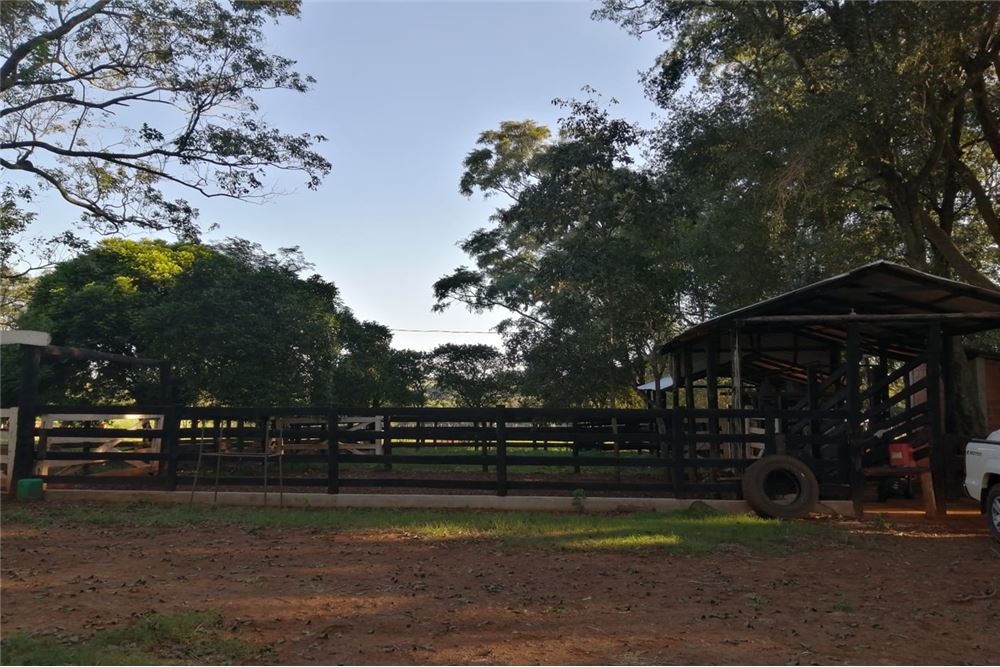 Propriedade agrícola e pecuária à venda em Fram, Itapúa