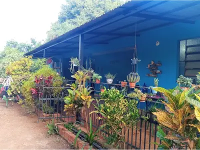 Propriedade comercial à venda em Villa Alta, Concepción
