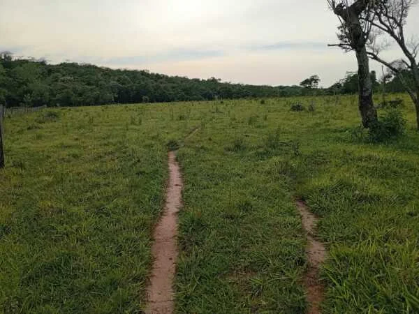 Propiedad rural de 10 hectáreas en venta en Caaguazú