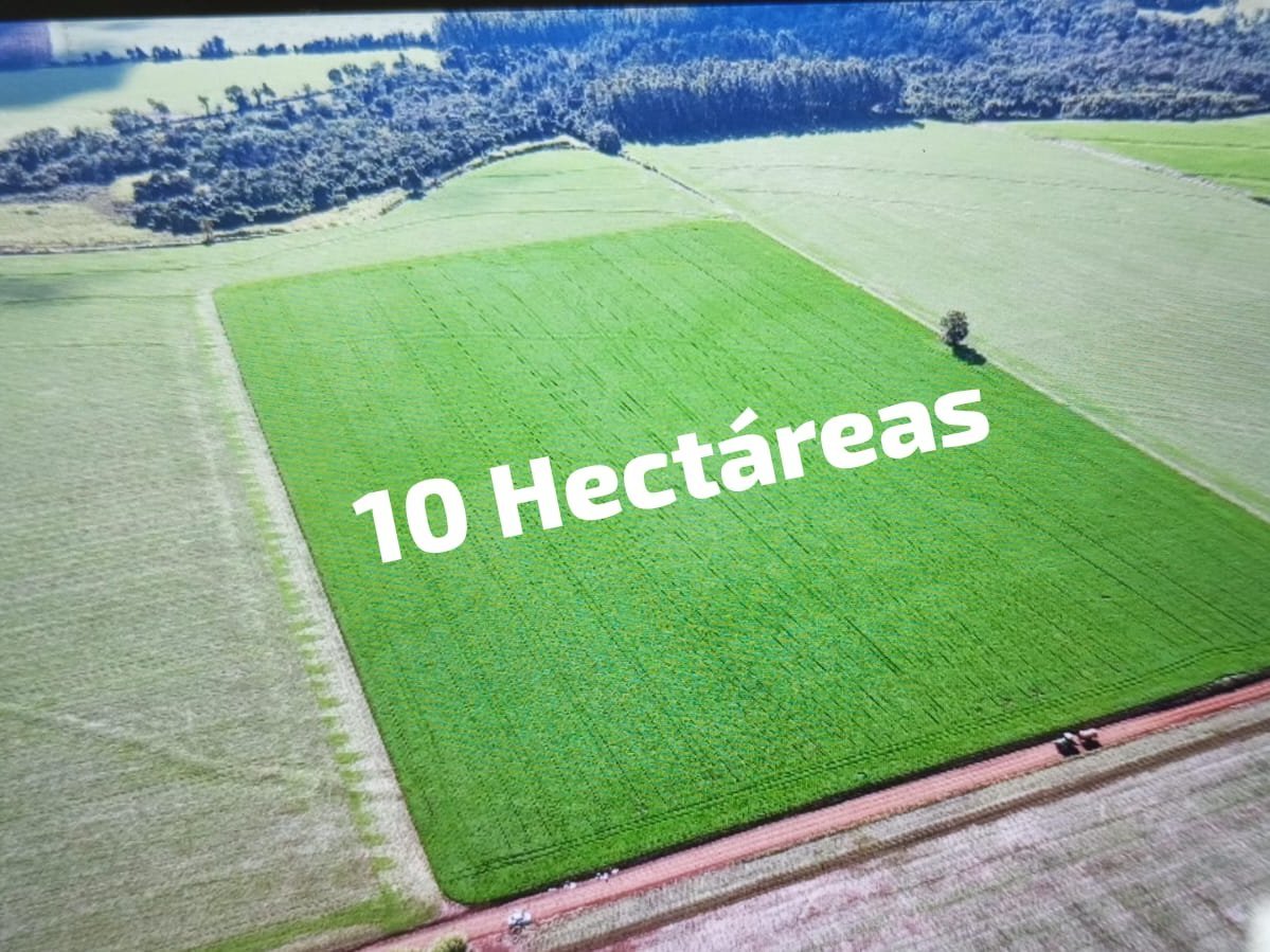 Propiedad rural de 10 hectáreas en venta en La Paz, Itapúa