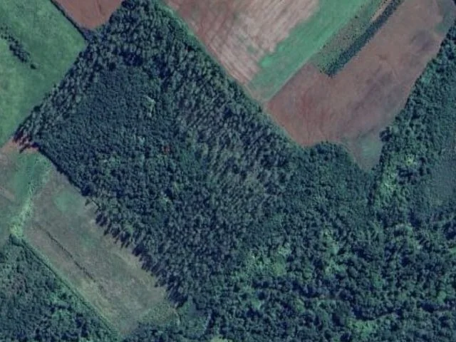 10-Hectare Virgin Rural Land for Sale in Suelo Cué, La Paz
