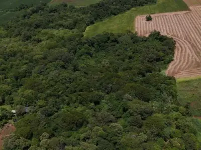 10-hectare rural property for sale – Tomás Romero Pereira, Itapúa