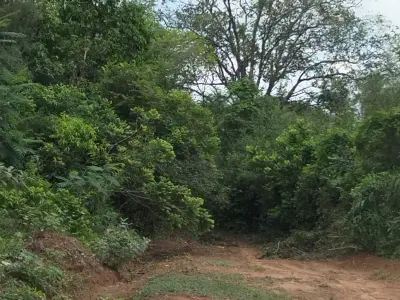 Propiedad rural de 12 hectáreas en Nueva Colombia, Paraguay