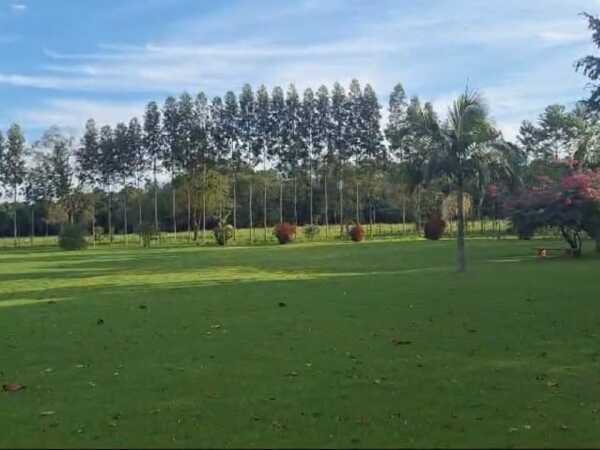 14-Hectare Rural Property for Sale in Hernandarias, Alto Paraná