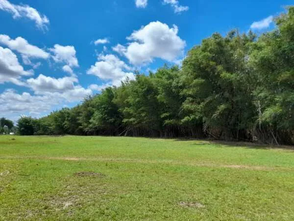 16-hectare rural property for sale in Villarrica, Guairá
