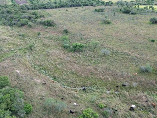 Propiedad rural de 19 hectáreas en venta, San Ignacio, Misiones