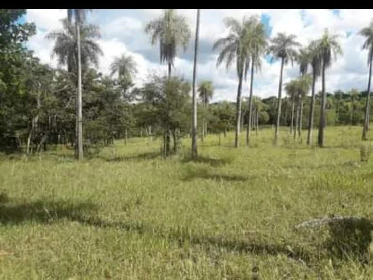 Propriedade rural de 2,65 hectares em Ita Ybu Mi, Caacupé