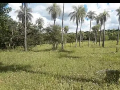 Propriedade rural de 2,65 hectares em Ita Ybu Mi, Caacupé 1