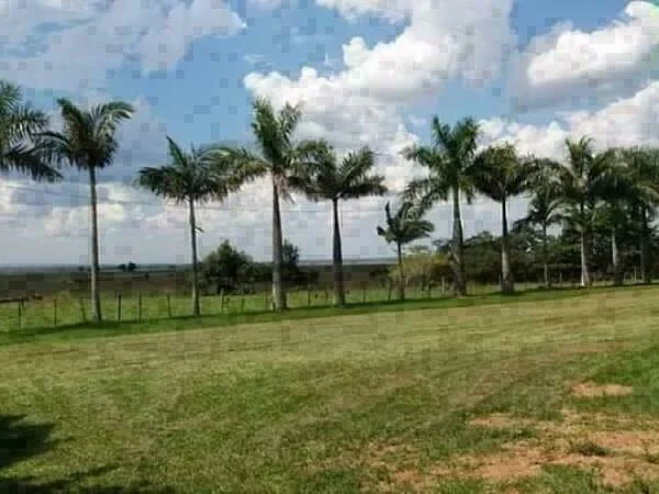 Propiedad rural de 285 hectáreas en venta en San Miguel, Misiones