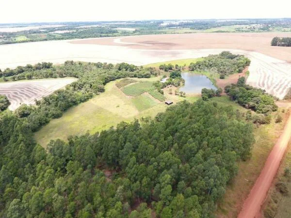 Propriedade rural de 30 hectares em Minga Guazú, Alto Paraná