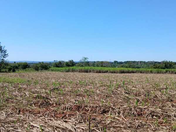 Propiedad rural de 3,5 hectáreas en venta en Nueva Italia